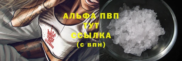 дмт Козельск