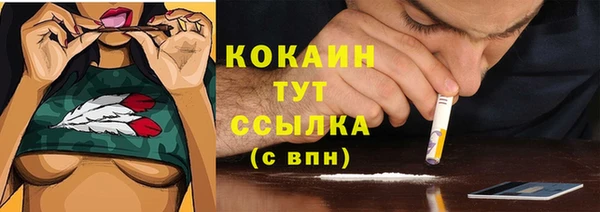 твердый Козловка