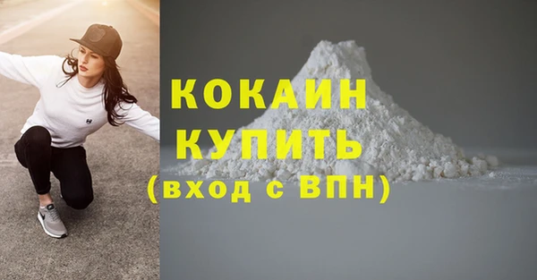 хмурый Кодинск