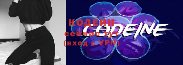 хмурый Кодинск