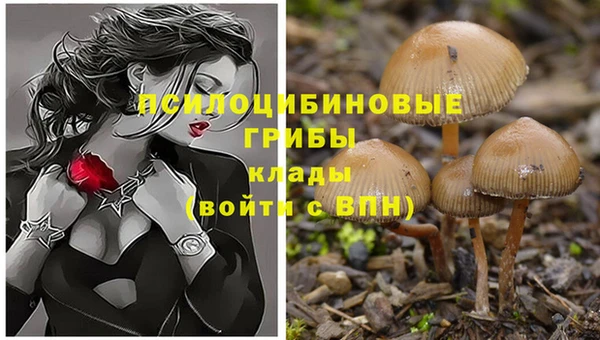 твердый Козловка