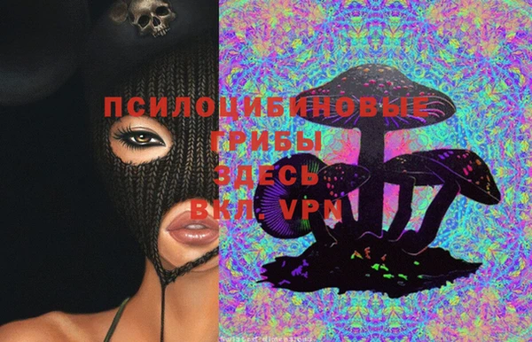 spice Киреевск