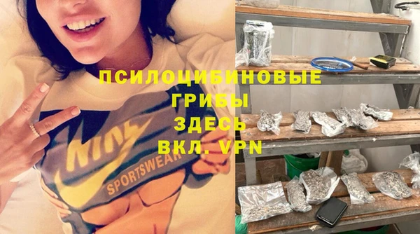 дживик Корсаков
