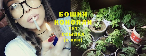 дмт Козельск