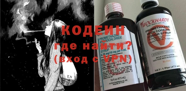 хмурый Кодинск