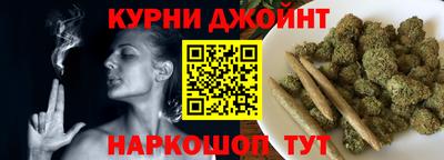 мдпв Бийск
