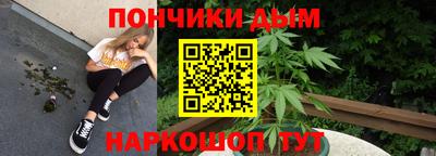 мдпв Бийск