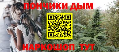 мдпв Бийск